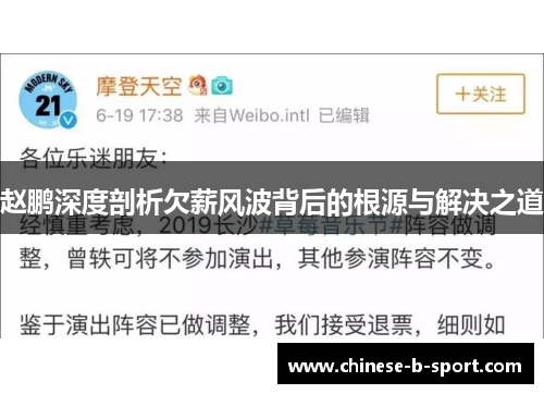 赵鹏深度剖析欠薪风波背后的根源与解决之道