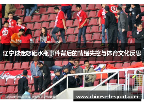 辽宁球迷怒砸水瓶事件背后的情绪失控与体育文化反思 辽宁球迷怒砸水瓶事件背后的情绪失控与体育文化反思